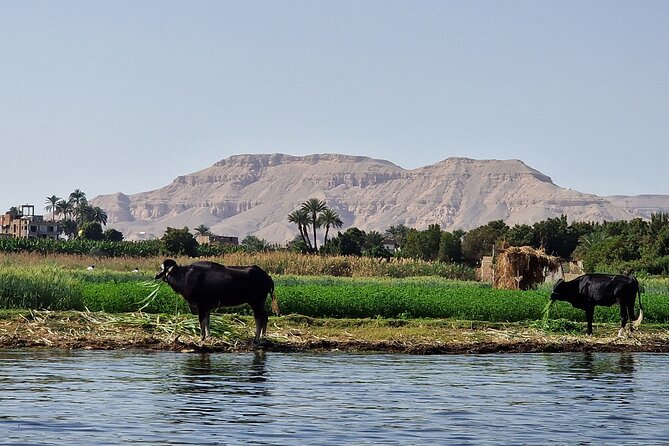 Private Luxor Overnight Tour with Hot Air Balloon from Hurghada - Valley of the Kings: tombs that reward patience