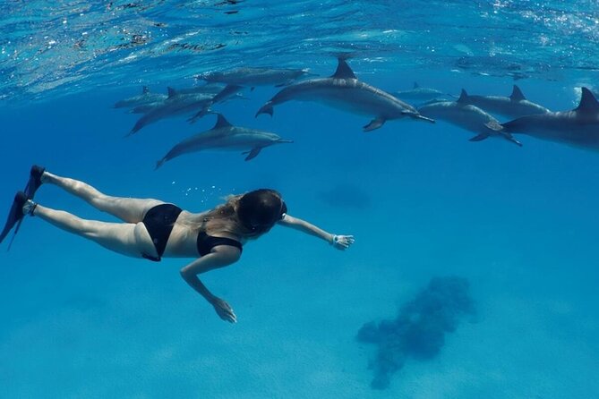 Private Luxury Dolphin House Boat Tour With Lunch - Hurghada - Private Luxury Dolphin House Trip: What You Get, Plain and Simple