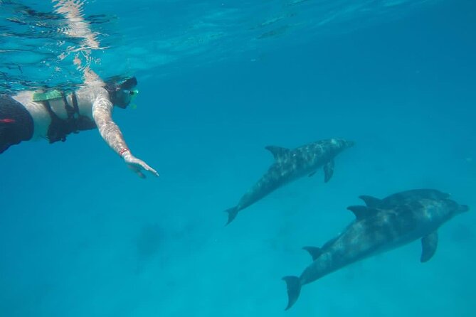 Private Luxury Dolphin House Boat Tour With Lunch - Hurghada - Morning Logistics: Pickup to Pier Without the Headache
