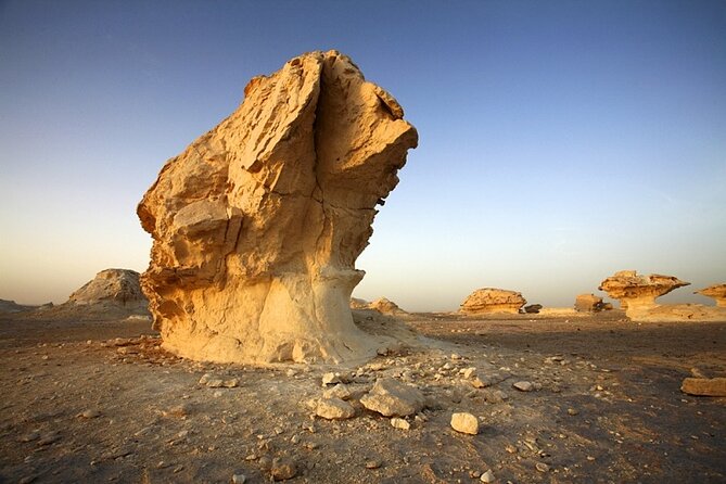Private ONE Night Camping in White and Black Desert from Cairo - Day 2 Bahariya Oasis: Golden Mummies and Tomb Visits