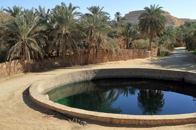 Private ONE Night Camping in White and Black Desert from Cairo - Private Vehicles, Desert Safari Time, and Real Meals