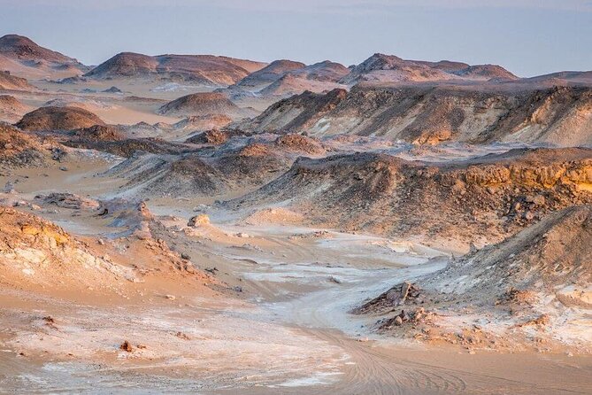 Private ONE Night Camping in White and Black Desert from Cairo - Price and Logistics: Is $190 per Person Good Value?
