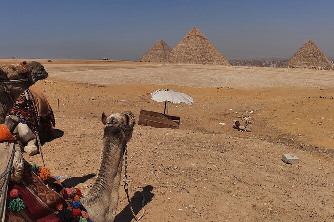 Private Pyramids, Sphinx and Grand Egyptian Museum Tour - Great Sphinx + Temple of the Valley: Meaning Beyond the Landmark