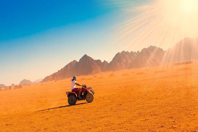 Private Safari Tour in Luxor - Key Things to Know Before You Go
