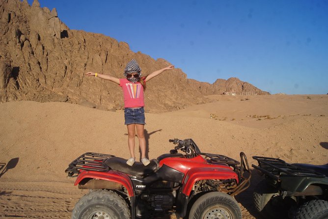 Private Safari Tour in Luxor - Price and What You’re Getting for About $51
