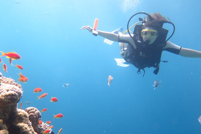 Private sea trip Hurghada - Snorkeling: The Gear Is Taken Care Of