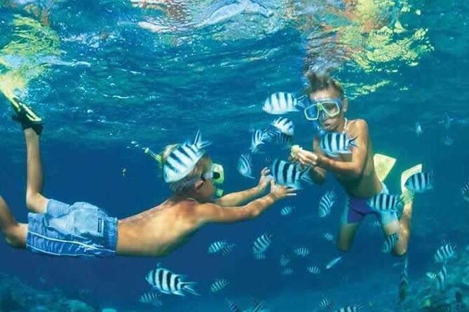Private Speed Boat Snorkeling with Dolphins Trip - Hurghada - Onboard Snacks and Time Under the Sun