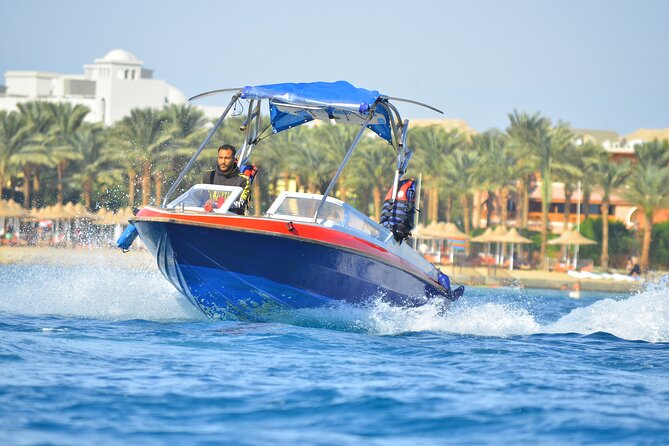 Private Speed Boat to DOLPHINS House & Water activities -HURGHADA - Key things you’ll notice right away