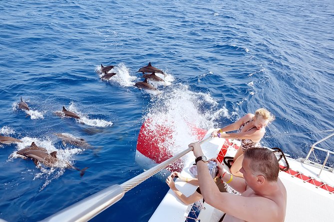 Private Speed Boat to DOLPHINS House & Water activities -HURGHADA - Getting from your hotel to the marina in air-conditioned comfort