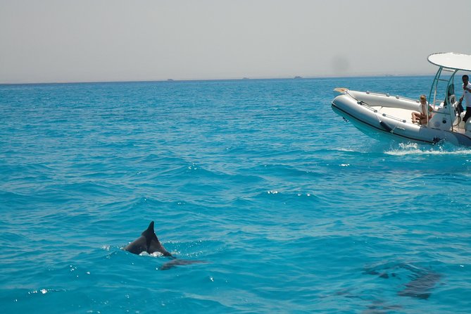 Private Speed Boat Trip In Hurghada - Boat details that make the day easier (not just louder)