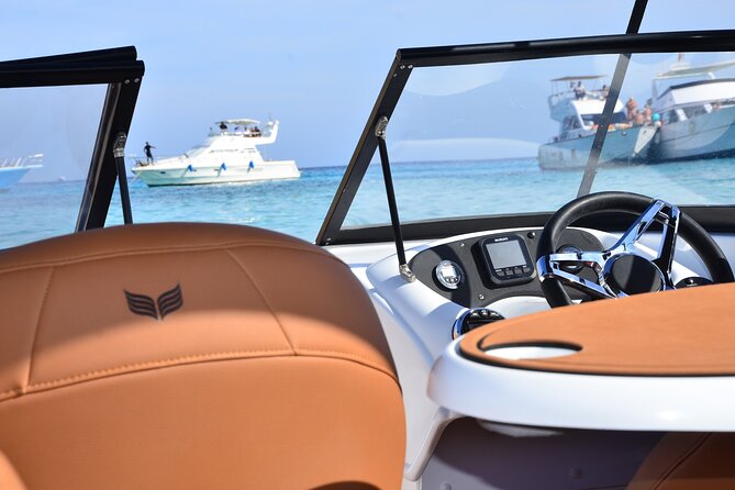Private Speedboat Dolphins and Snorkelling Cruise in Hurghada - Key highlights you’ll care about