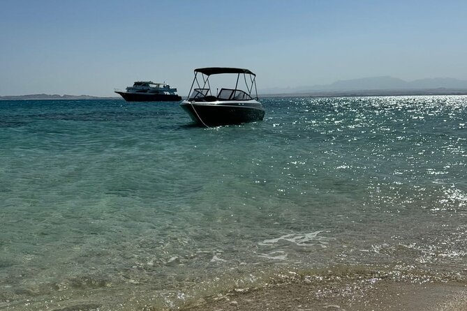 Private Speedboat Dolphins and Snorkelling Cruise in Hurghada - Who should book this Hurghada dolphins cruise (and who might skip it)