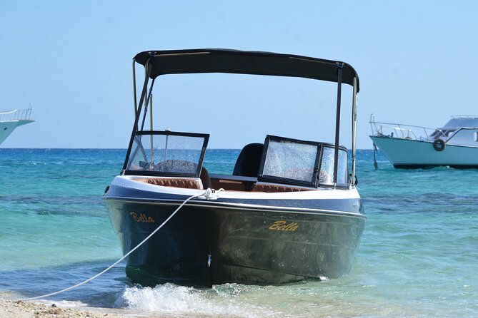 Private Speedboat Dolphins and Snorkelling Cruise in Hurghada - Dolphin House (and El Fanadir): snorkelling where the action lives