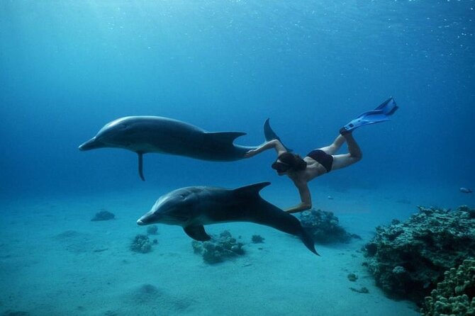 Private Speedboat Excursion Dolphin House Discovery - Hurghada - Practical Tips for a Smooth Red Sea Speedboat Morning