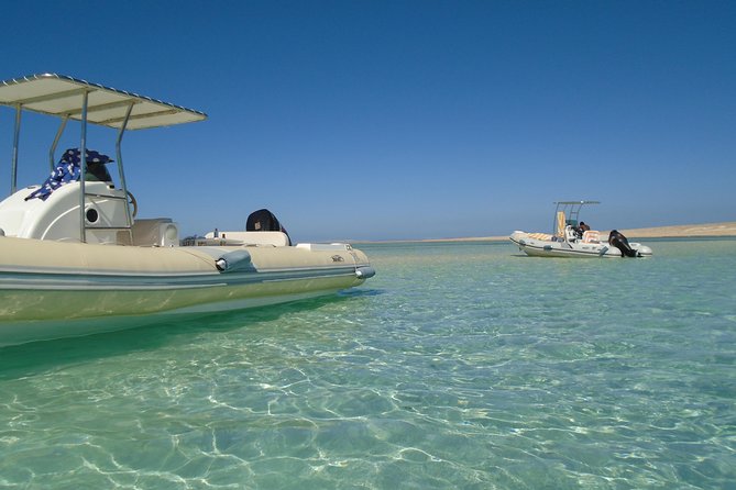 Private Speedboat Trip In Hurghada - Who Should Book This Private Speedboat Trip?