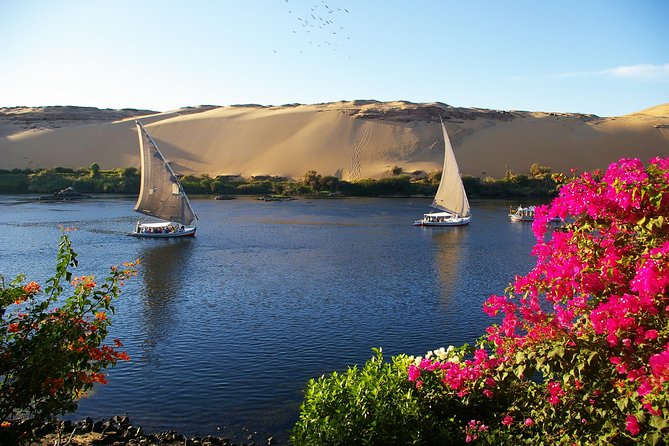 Private Tour: 10 Days Pyramids ,Nile Cruise & Hurghada by Air from Cairo - The West Bank trio: Valley of the Kings, Hatshepsut, and Colossi of Memnon