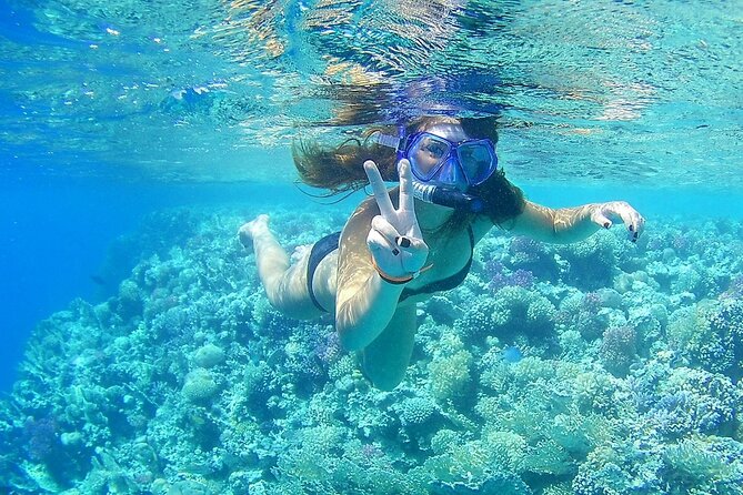 PRIVATE TOUR ! 4-Hours Swiming with dolphins, snorkeling, island by speed boat - Abu Minqar Island Stop: Why This Break is Worth It