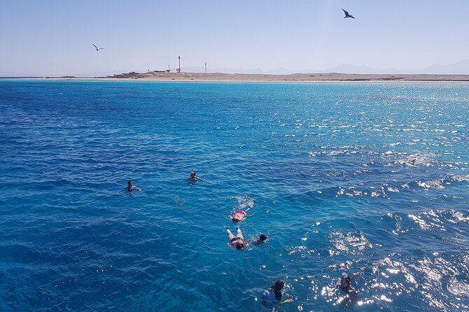 PRIVATE TOUR ! 4-Hours Swiming with dolphins, snorkeling, island by speed boat - Boat Comfort, Snacks, and the Pace of the Day