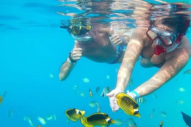 PRIVATE TOUR ! 4-Hours Swiming with dolphins, snorkeling, island by speed boat - Price and Value: Is $160.80 per Person Fair?