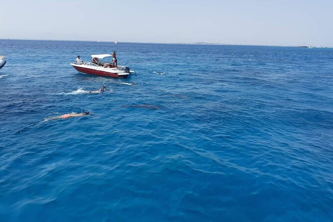 PRIVATE TOUR ! 4-Hours Swiming with dolphins, snorkeling, island by speed boat - Al Fanadir Reef Snorkel: Your Underwater “Plan B” That Isn’t Boring