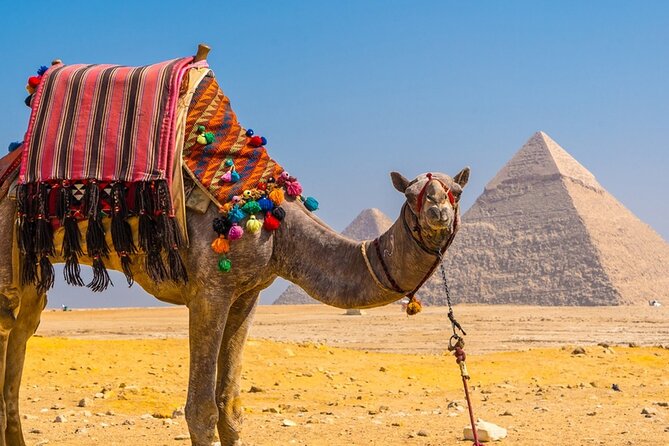 Private Tour: Cairo Day Trip from Hurghada, Including Round-Trip Flights, Giza Pyramids, Sphinx, and Egyptian Museum - Pyramids of Giza: how to make the most of two hours