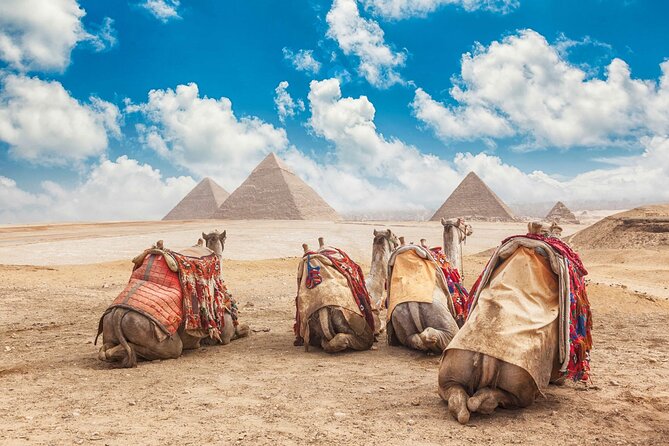 Private Tour: Cairo Day Trip from Hurghada, Including Round-Trip Flights, Giza Pyramids, Sphinx, and Egyptian Museum - Great Sphinx: the closer you get, the stranger it gets