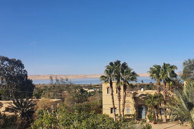 Private tour El Fayoum Oasis and Wadi Rayan waterfall from Cairo - Cairo to Al Fayoum: The Private Drive That Changes the Day
