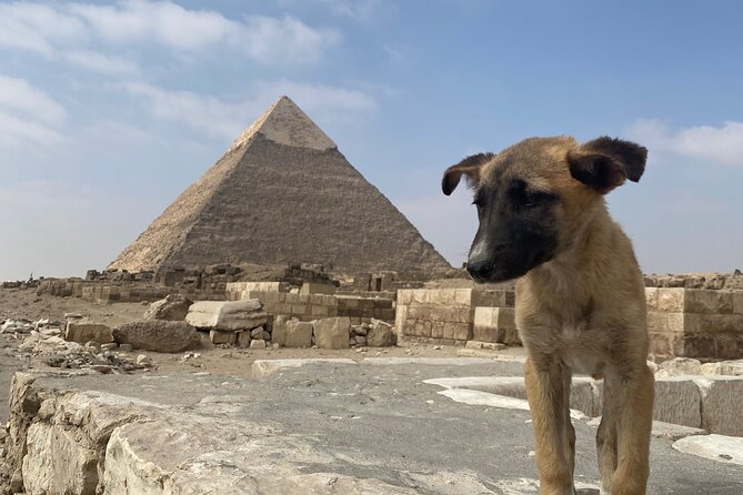 Private Tour Giza Pyramids, Egyptian Museum, Bazar And Lunch - Lunch in Cairo: A Breather Built Into the Route