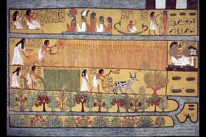Private Tour: King Tut's Tombs, Valley of the Kings, Hatshepsut Temple - Private guide energy: what the reviews clearly emphasize