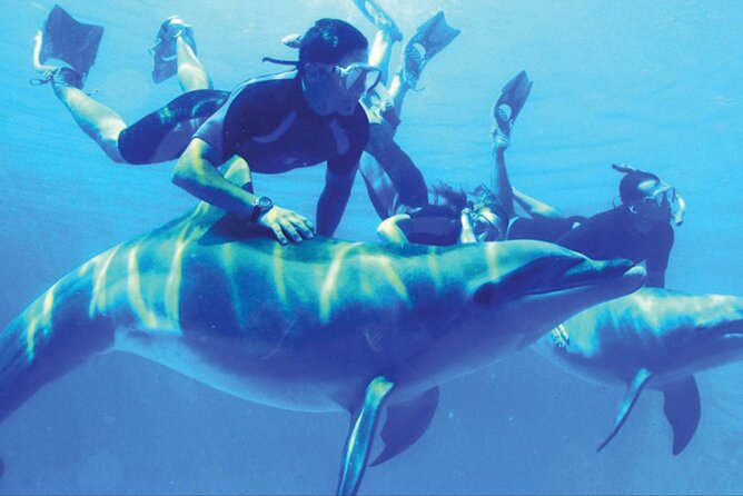 Private Tour to Dolphins house Sea hero of Egypt snorkeling - The human part: friendly crew, clean boat, and a name you’ll hear