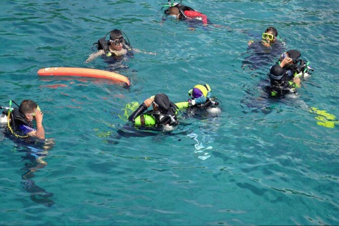 Private Tour to Dolphins house Sea hero of Egypt snorkeling - Who should book this Dolphin House snorkeling tour