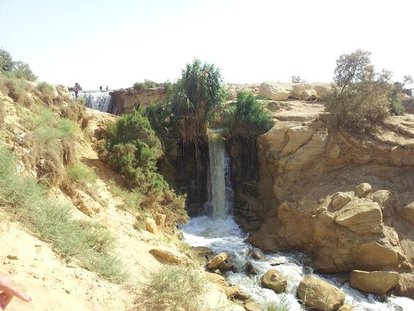 Private Tour To Fayoum Oasis, Valley Of The whales & Wadi Al Rian From Cairo. - Key things you’ll notice on this Fayoum + whales outing