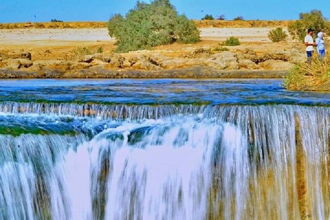 Private Tour To Fayoum Oasis, Valley Of The whales & Wadi Al Rian From Cairo. - El Fayoum Oasis and Sobek: more than a green break