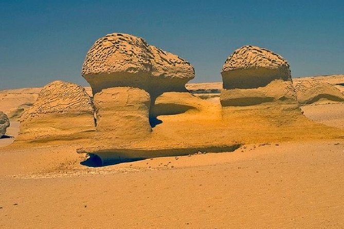 Private Tour To Fayoum Oasis, Valley Of The whales & Wadi Al Rian From Cairo. - Valley of the Whales (Wadi Al Hitan): fossils that stop conversation