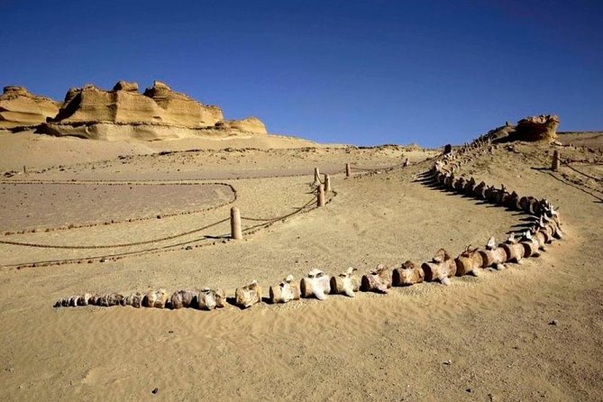 Private Tour To Fayoum Oasis, Valley Of The whales & Wadi Al Rian From Cairo. - Swimming or fishing at the lake: what to expect