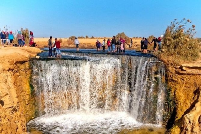 Private Tour To Fayoum Oasis, Valley Of The whales & Wadi Al Rian From Cairo. - Food, comfort, and the pace of a long day
