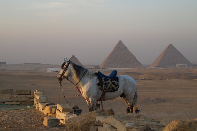 Private Tour to Giza Pyramids, Sphinx and Egyptian Museum - The Great Sphinx and Valley Temple: The Face You Can’t Unsee