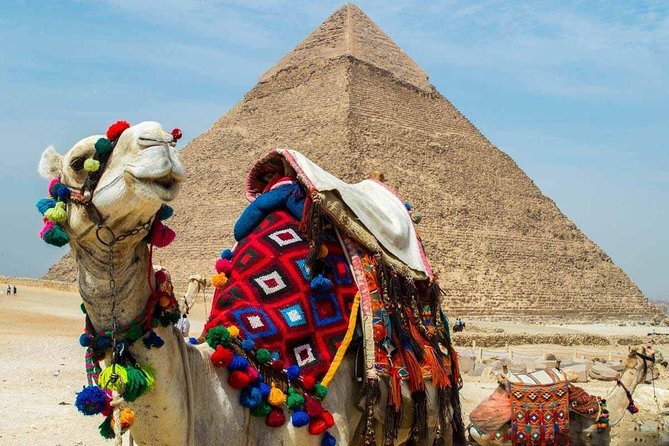 Private tour to Giza Pyramids, Sphinx and Egyptian Museum - Private group tour style: who will like this most?