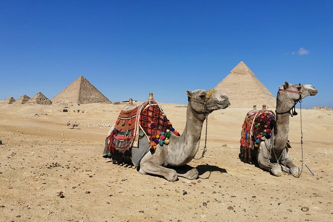 Private Tour to Giza Pyramids, Sphinx with Camel Ride and Lunch - Echadero de Los Camellos and the 20-minute camel ride around Giza