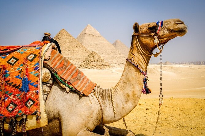 Private Tour To Giza Pyramids,Sphinx,panorama & Lunch - The Giza Plateau circuit: Great Pyramid first, then the family of pyramids