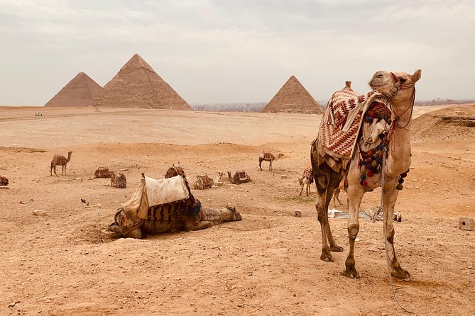 private tour to Grand Egyptian museum, Giza pyramids and lunch - Giza and the Grand Egyptian Museum: the value of doing it privately