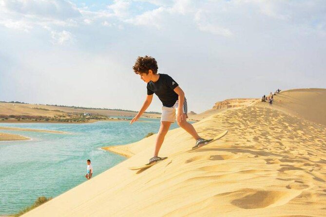 Private Tour to Whales Valley & Wadi El Rayan Waterfalls in El Fayoum from Cairo - Valley of the Whales (Wadi Al-Hitan): fossils you can’t unsee