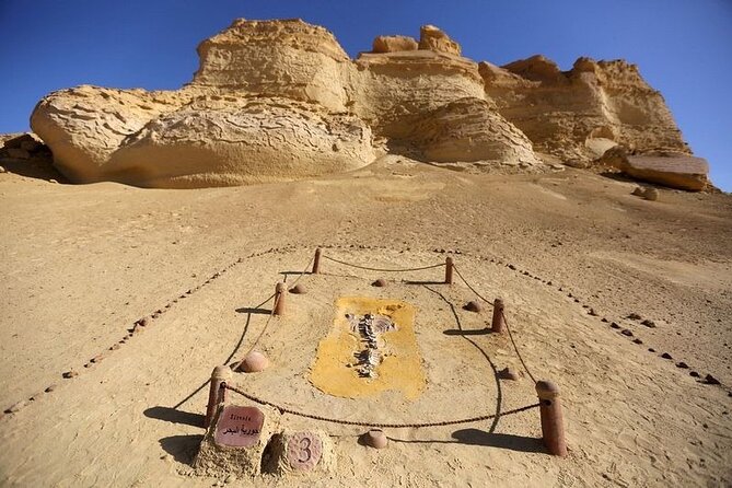 Private Tour to Whales Valley & Wadi El Rayan Waterfalls in El Fayoum from Cairo - Cairo-to-Fayoum route breaks: Tunis Village and Qarun Lake