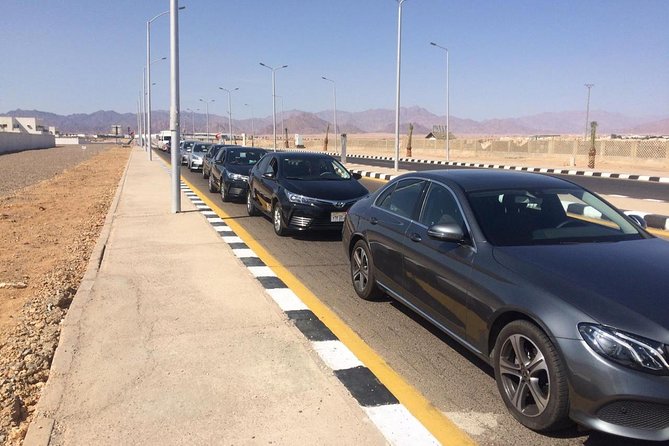 Private Transfer from Cairo Airport - Key things to know before you land