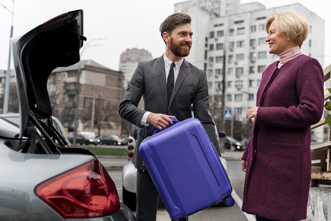 Private transfer from Cairo Airport to the hotel in Cairo or Giza - Waiting for Delayed Flights and Night Arrivals