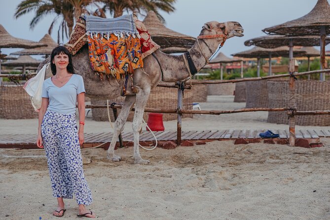 Private Transfer from Luxor to Marsa Alam or vice versa - Luxor to Marsa Alam in one shot: what this transfer really does for you