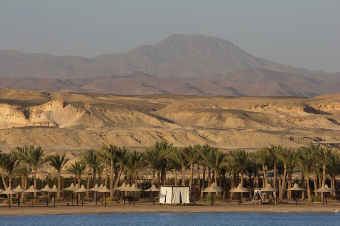 Private Transfer from Luxor to Marsa Alam or vice versa - Safety, driver communication, and why these details keep showing up