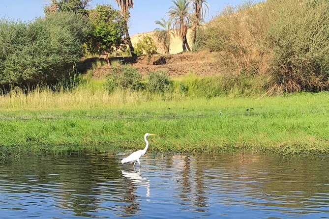 Private Trip to Nubian Village and Felucca Ride in Aswan - Colorful Buildings and Simple Life: What You Can Actually Notice