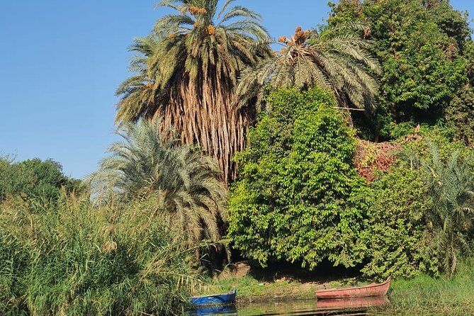 Private Trip to Nubian Village and Felucca Ride in Aswan - The Optional Nile Swim at the Village Beach