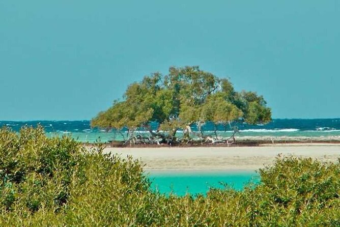 Private Trip to sharm el Lulli and wadi el Qulaan from Marsa Alam - Why this private day works so well from Marsa Alam
